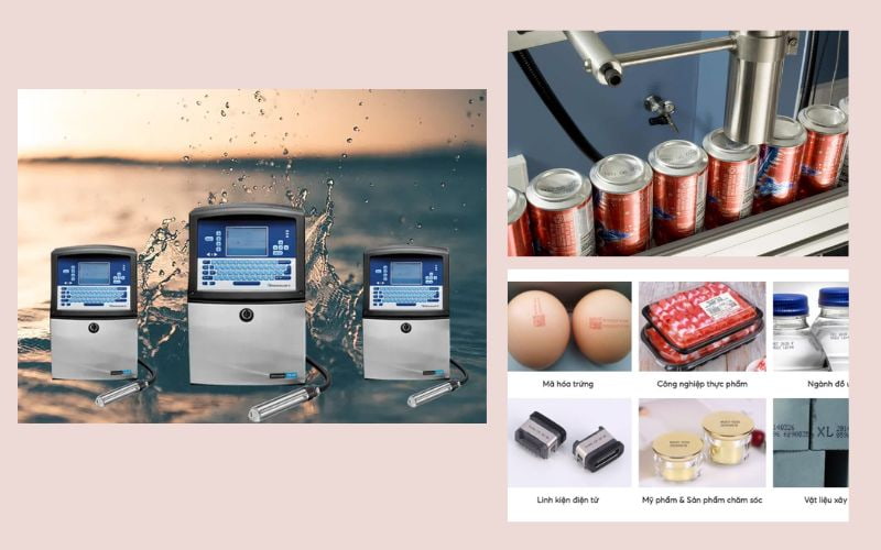 Xác định loại sản phẩm và chất liệu bao bì